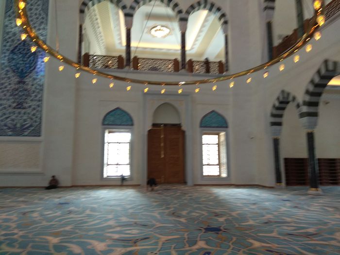 AYA TEODOSIA (GÜL CAMİSİ)