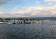 Sermed Muhtar Alus’tan Askerî Müze Rehberi