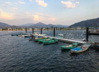 Askerî Müze Tanıtımı ve Yayın Çalışmaları